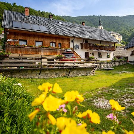 Apartments Kocjanc Bohinj ภายนอก รูปภาพ