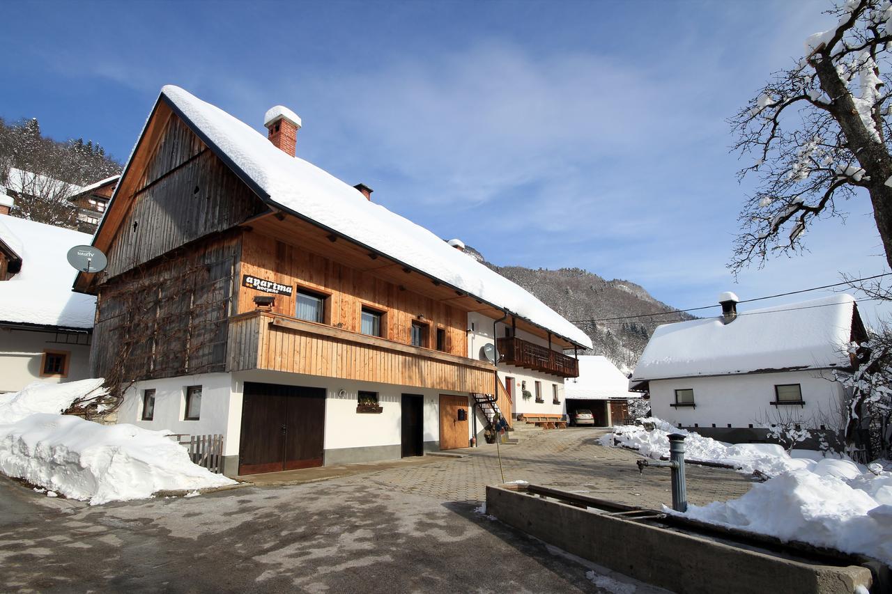 Apartments Kocjanc Bohinj ภายนอก รูปภาพ