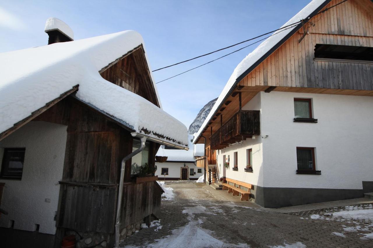 Apartments Kocjanc Bohinj ภายนอก รูปภาพ