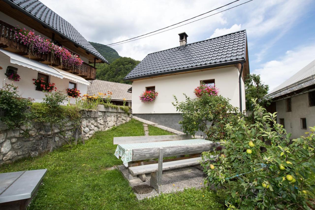 Apartments Kocjanc Bohinj ภายนอก รูปภาพ