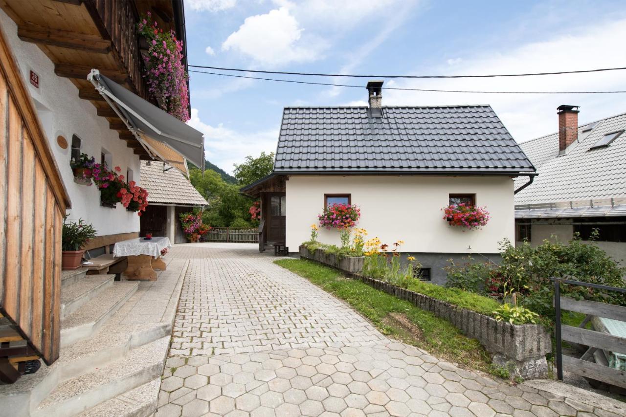Apartments Kocjanc Bohinj ภายนอก รูปภาพ