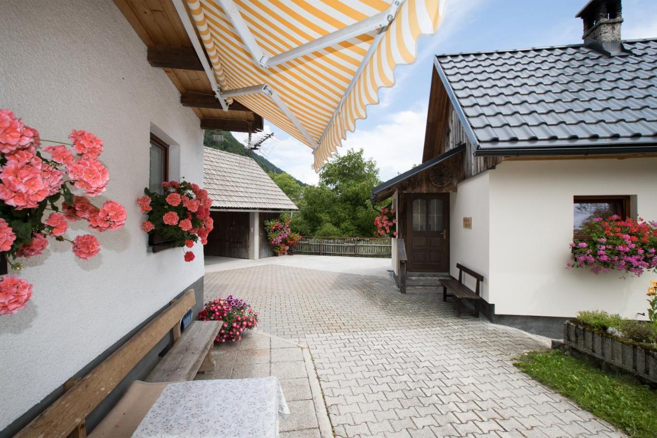 Apartments Kocjanc Bohinj ภายนอก รูปภาพ
